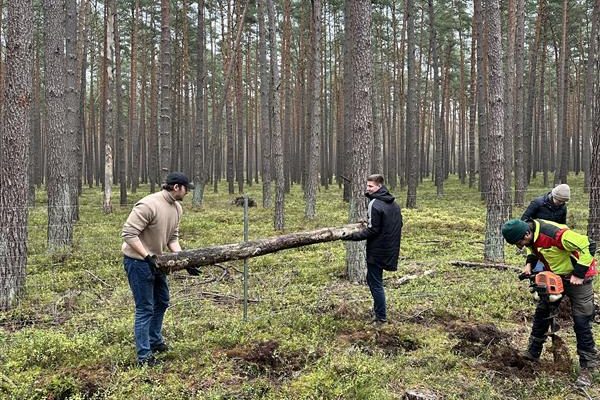 bd8e2b1c-294a-4da7-b078-4ed041677748